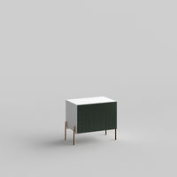 Custom doors for IKEA Besta Cabinet Door Luxe Green