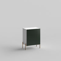 Custom doors for IKEA Besta Cabinet Door Luxe Green